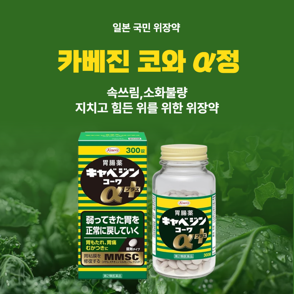 일본 카베진 구매 직구 정보 성분, 효능, 가격, 사용후기 종합 안내