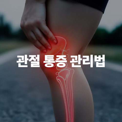 관절 통증 관리법 총정리: 운동부터 식습관까지, 관절 건강 지키는 5가지 방법