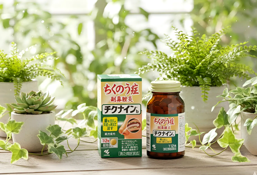 일본 직구 건강 아이템 추천 치쿠나인B 효능 및 성분, 직구방법까지