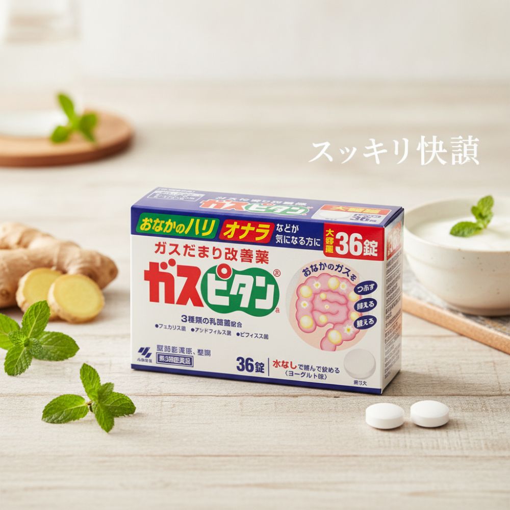 일본 인기 소화제 효능 및 활용법 완벽 가이드 총정리