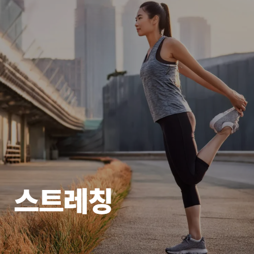 스트래칭