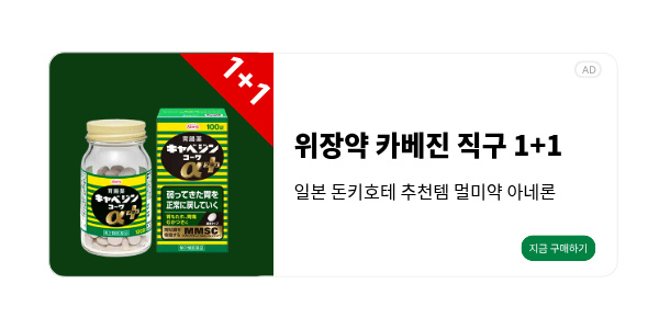 일본 카베진 직구