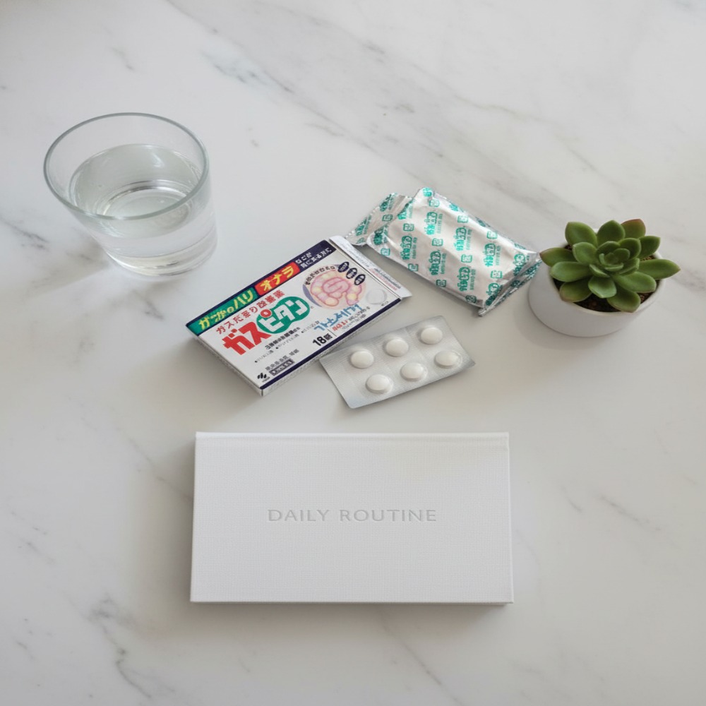 일본 위장약 가스피탄 복용법